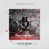 Monoteq & Toricos - What You Want (The Remixes) - Single
